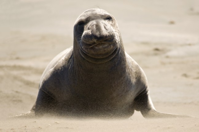 Michael Fuchs 100712 (2)