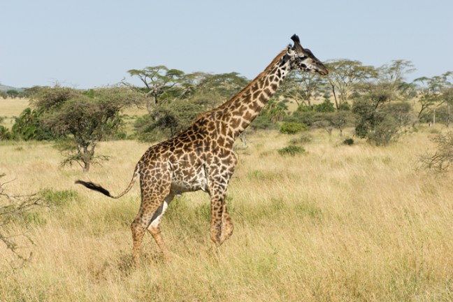 Michael Fuchs 100712 (3)