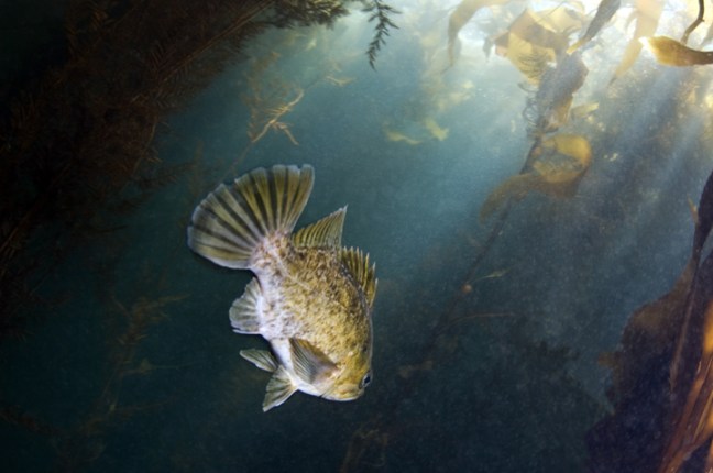 Michael Fuchs 100712 (4)