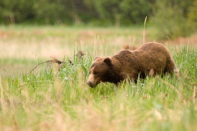 Michael Fuchs 100712 (5)