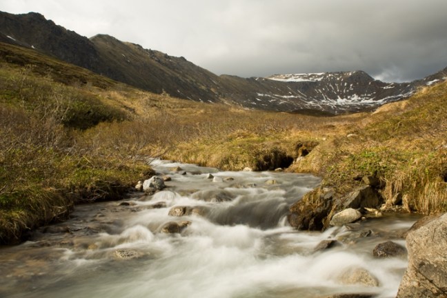 Michael Fuchs 101611 (2)