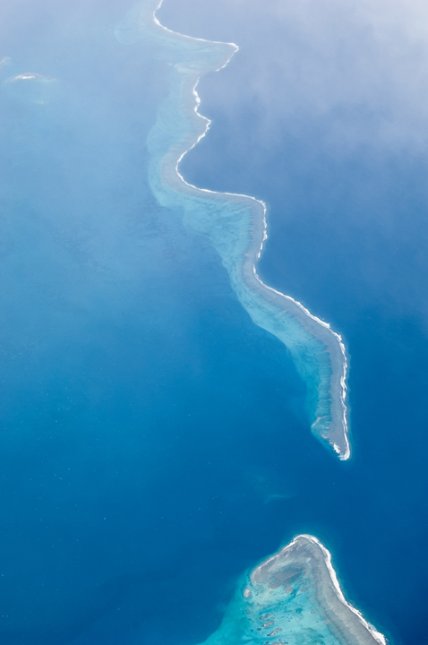 Michael Fuchs 101815 (1)