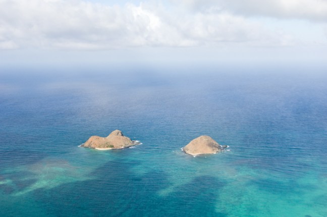 Michael Fuchs 101815 (3)