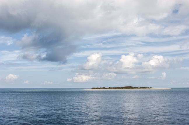 Michael Fuchs 101815 (4)