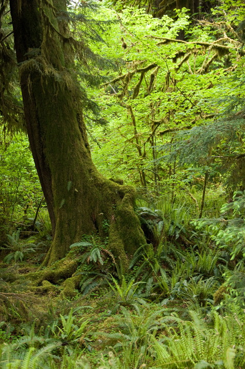 Michael Fuchs 102112 (1)