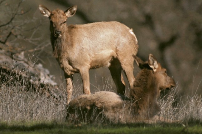 Michael Fuchs 102311 (3)