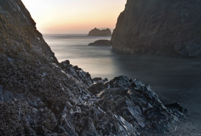 Michael Fuchs 102515 (3)