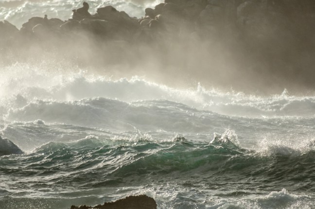 Michael Fuchs 102515 (5)