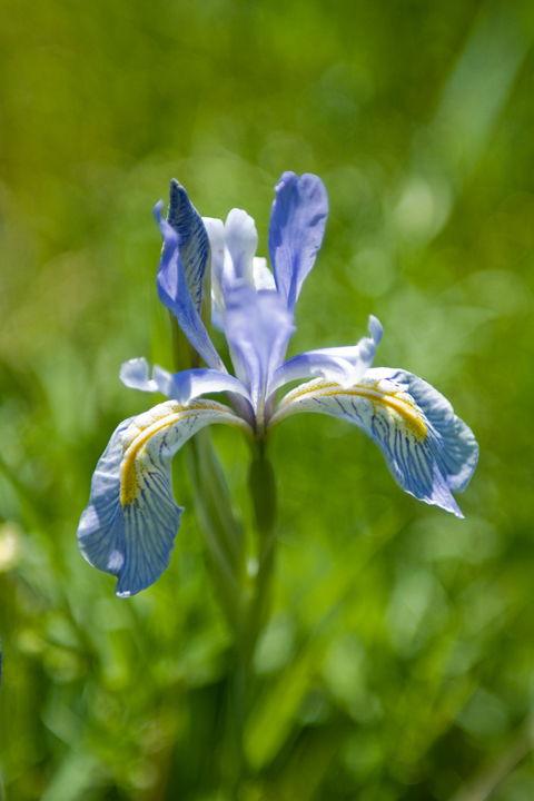 Michael Fuchs 103011 (1)