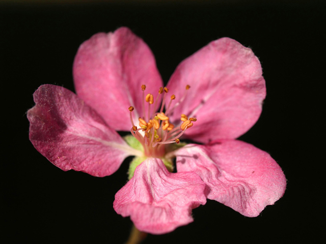 Michael Fuchs 103011 (4)