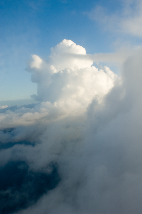 Michael Fuchs 111311 (4)