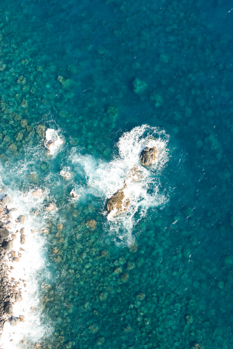 Michael Fuchs 112011 (2)