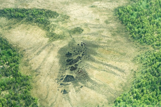 Michael Fuchs 112011 (4)