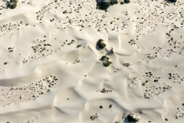 Michael Fuchs 112011 (5)