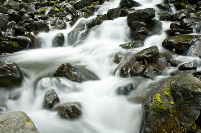 Michael Fuchs 120212 (2)