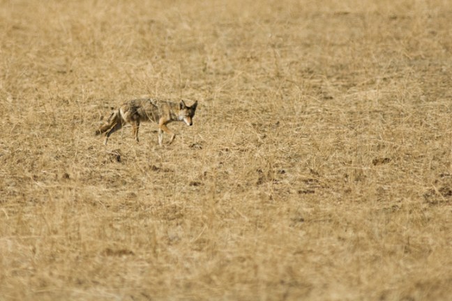 Michael Fuchs 120411 (4)