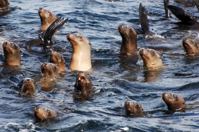 Michael Fuchs 120411 (5)