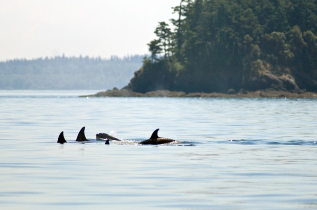 Michael Fuchs 1209012 (2)