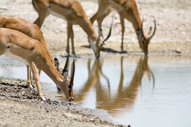 Michael Fuchs 1209012 (3)