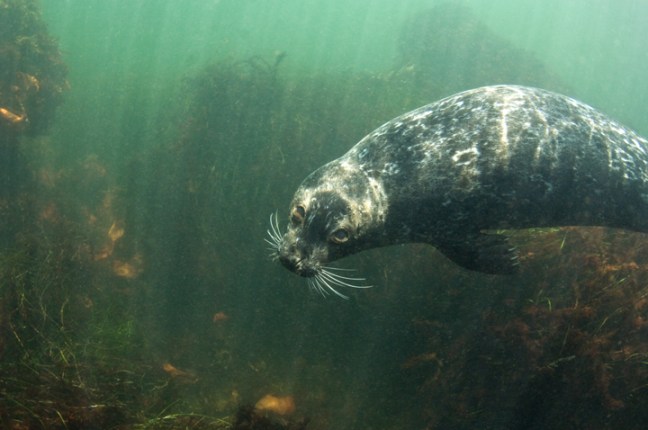 Michael Fuchs 1209012 (4)