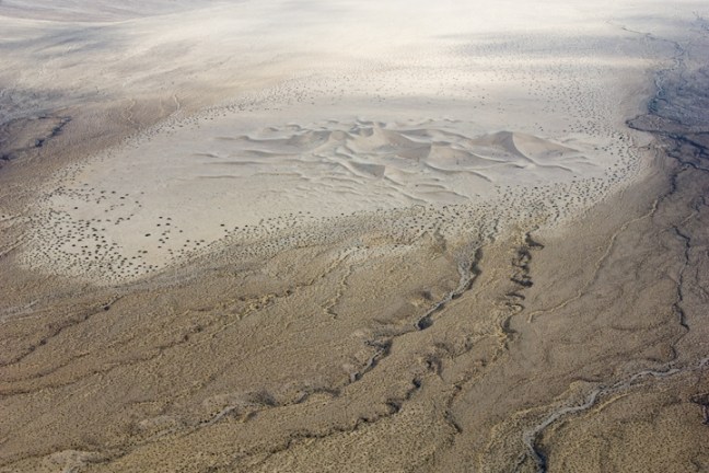 Michael Fuchs 121111 (2)