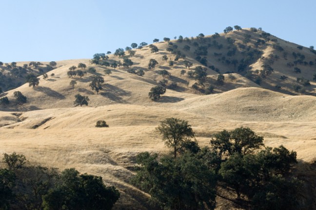 Michael Fuchs 121612 (4)