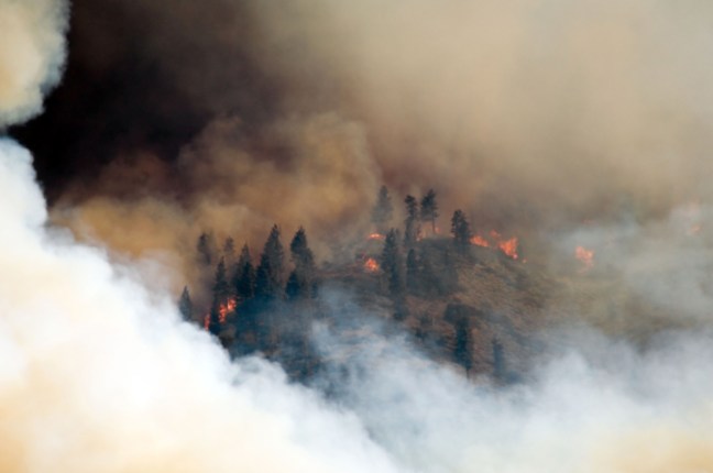 Michael Fuchs 121811 (3)