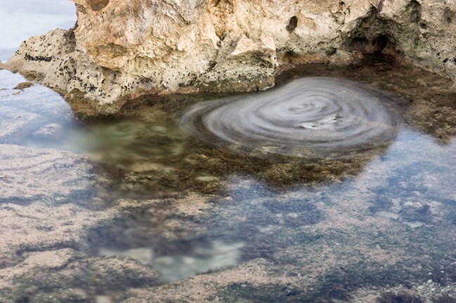 Michael Fuchs 123012 (4)