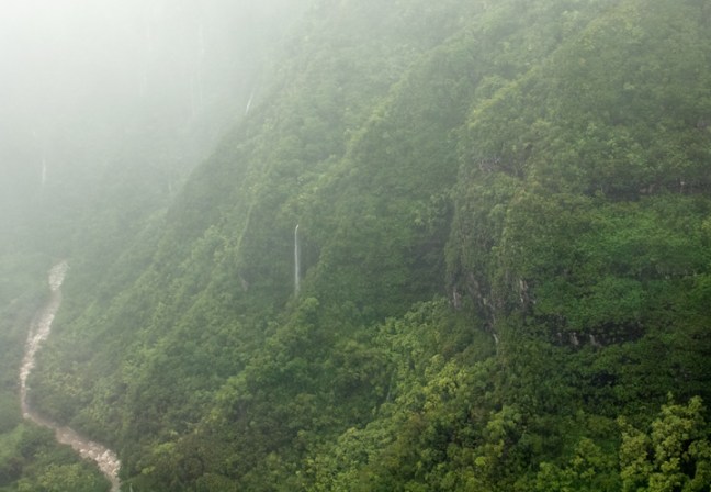 Michael Fuchs 110115 (1)