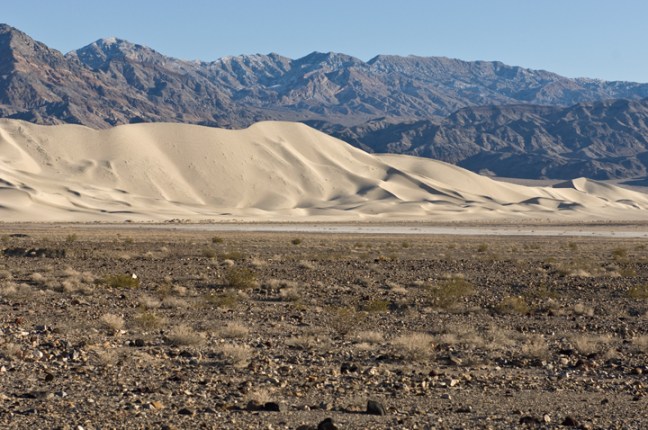 Michael Fuchs 110815 (1)