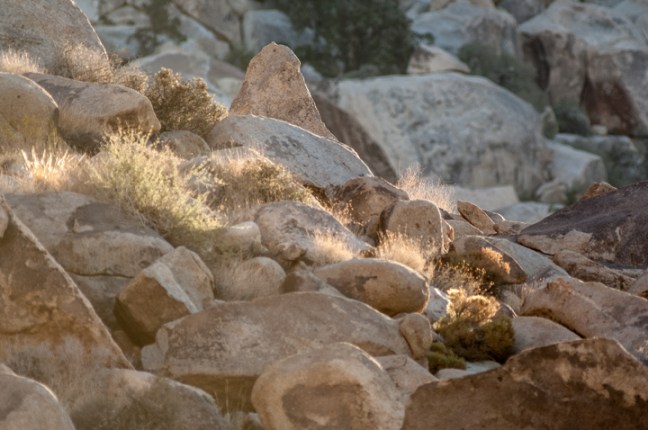 Michael Fuchs 110815 (4)