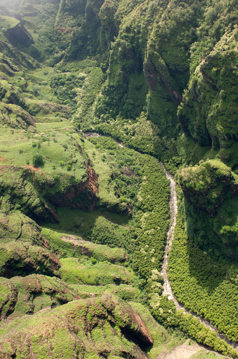 Michael Fuchs 121315 (1)