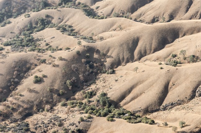 Michael Fuchs 121315 (5)