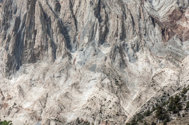 Michael Fuchs 011716 (2)