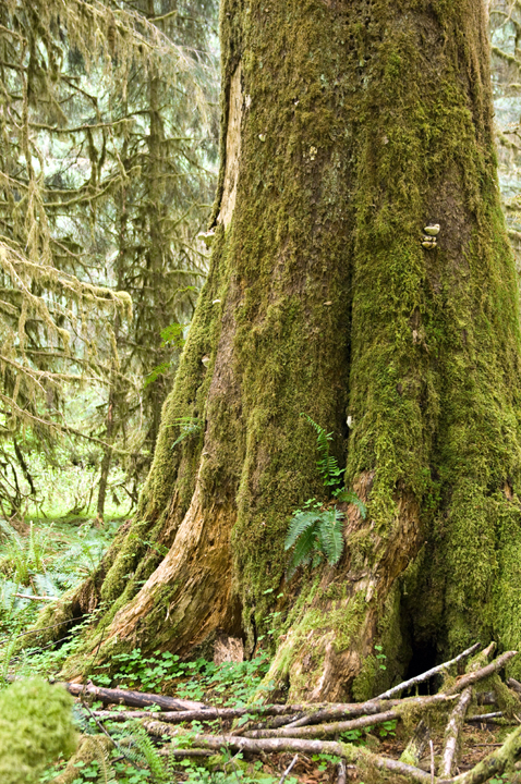 Michael Fuchs 011716 (3)