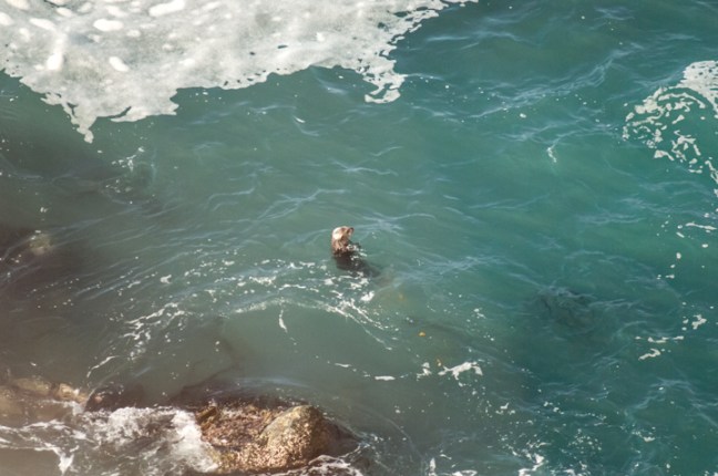 Michael Fuchs 012416 (3)