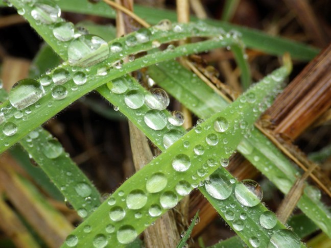 Michael Fuchs 032716 (1)