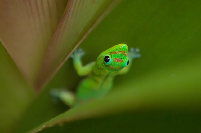 Michael Fuchs 032716 (3)