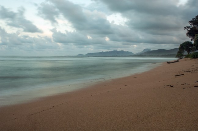 Michael Fuchs 041016 (5)