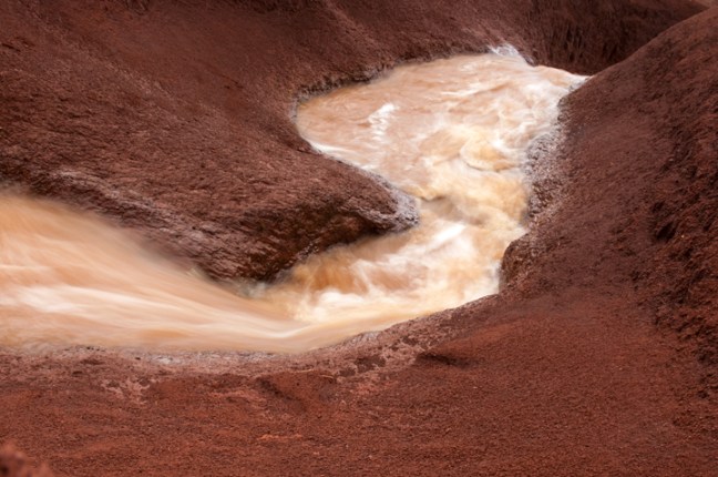 Michael Fuchs 041716 (3)