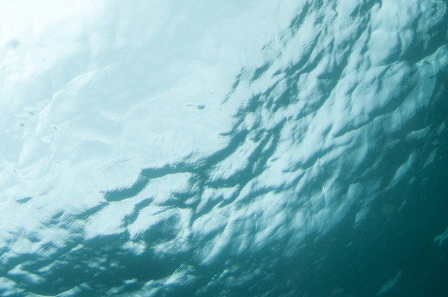 Michael Fuchs 041716 (5)