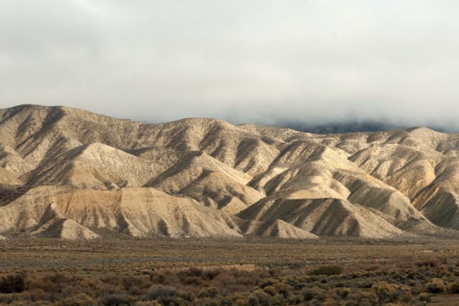 Michael Fuchs 050816 (1)