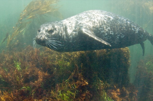 Michael Fuchs 052916 (2)