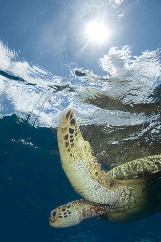 Michael Fuchs 052916 (4)