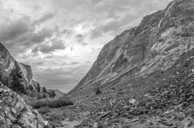 Michael Fuchs 061916 (1)