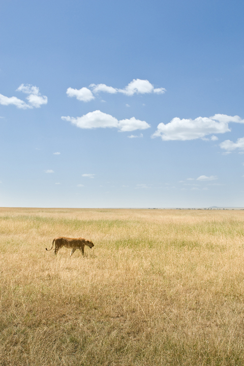 Michael Fuchs 062616 (3)