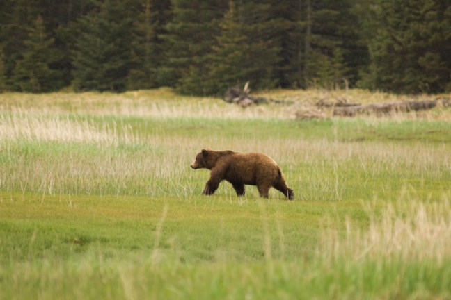 Michael Fuchs 062616 (5)