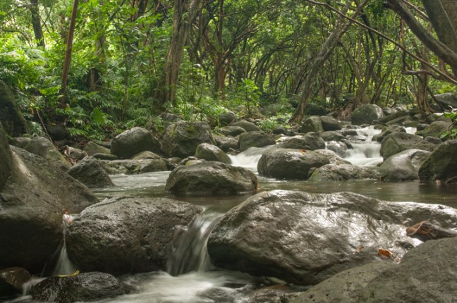 Michael Fuchs 070316 (5)