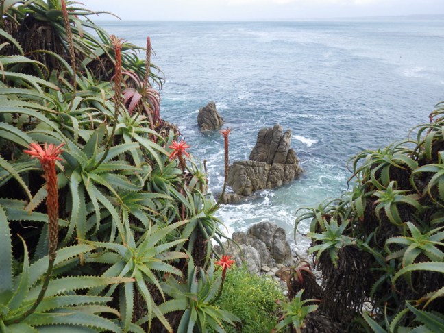 Michael Fuchs 071716 (1)