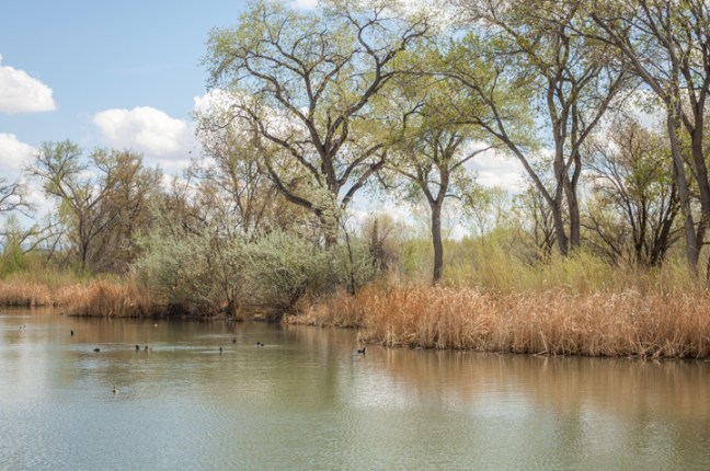 Michael Fuchs 071716 (2)